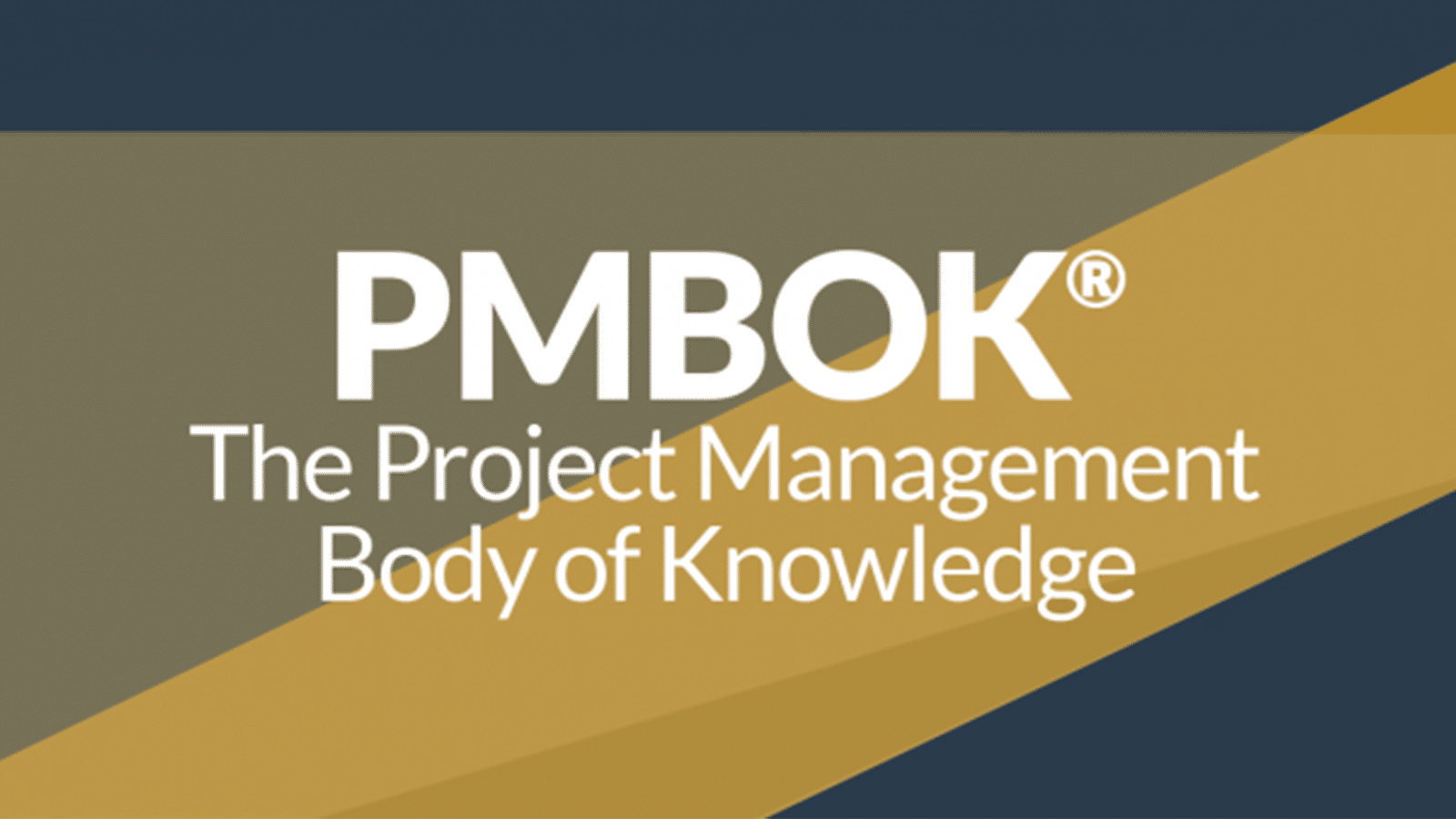 PMBOK Hero